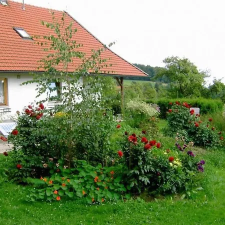Wildfeuer By Interhome Kirchdorf im Wald