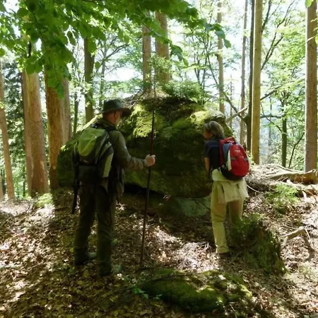 Wildfeuer By Interhome * Kirchdorf im Wald