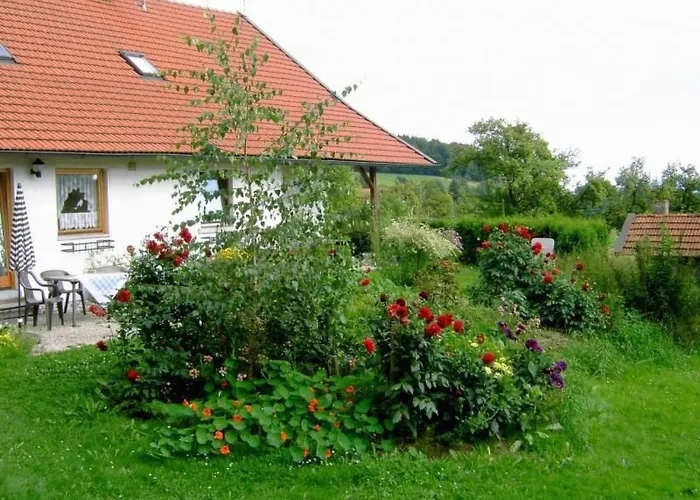 Wildfeuer By Interhome Kirchdorf im Wald