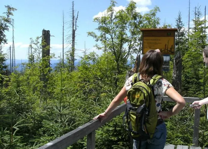 Wildfeuer By Interhome Kirchdorf im Wald