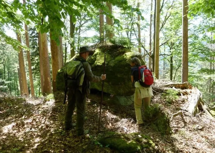 Wildfeuer By Interhome * Kirchdorf im Wald