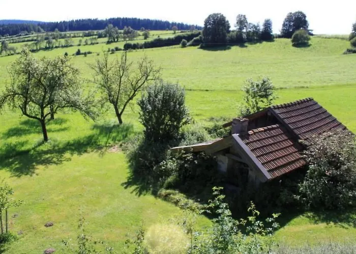 Wildfeuer By Interhome Appartement Kirchdorf im Wald