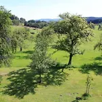 Wildfeuer By Interhome Kirchdorf im Wald