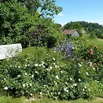 Wildfeuer By Interhome Kirchdorf im Wald