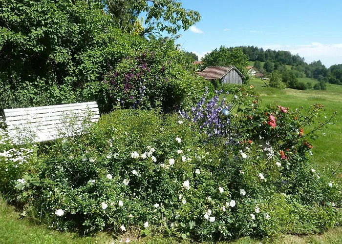 Wildfeuer By Interhome Kirchdorf im Wald